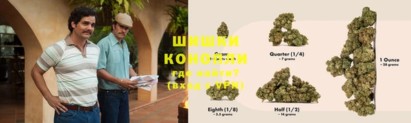 индика Майский