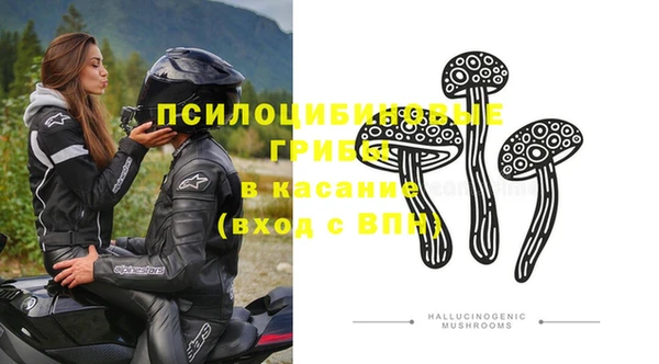 трава Магадан